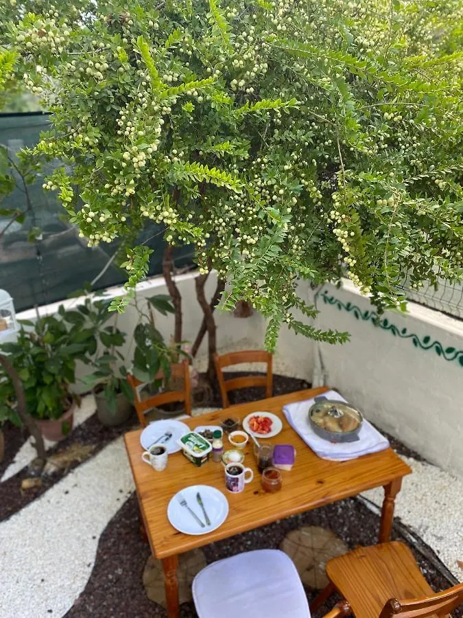 Blue House - Mavi Ev Apartment Fethiye Turkey